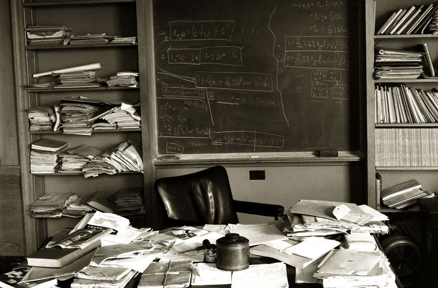 Executive Function and Disorders